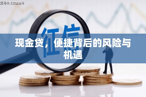 连城现金贷，便捷背后的风险与机遇