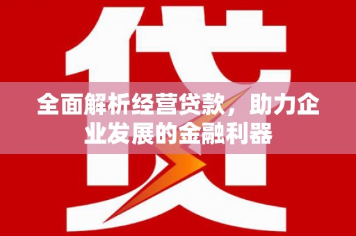 连城全面解析经营贷款，助力企业发展的金融利器