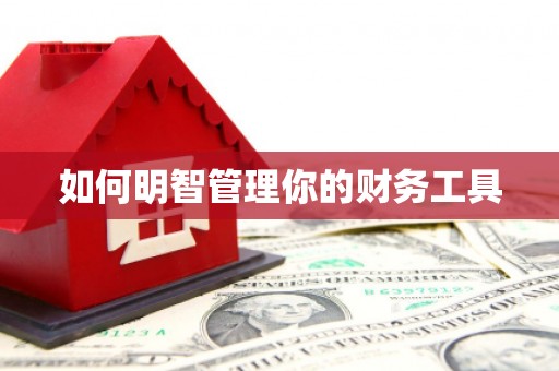 连城如何明智管理你的财务工具