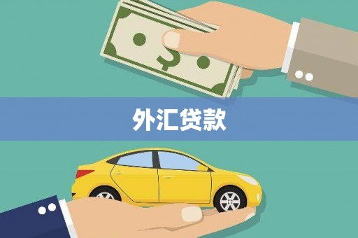 连城外汇贷款
