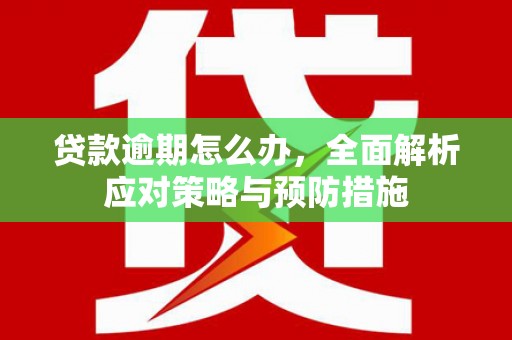 连城贷款逾期怎么办，全面解析应对策略与预防措施