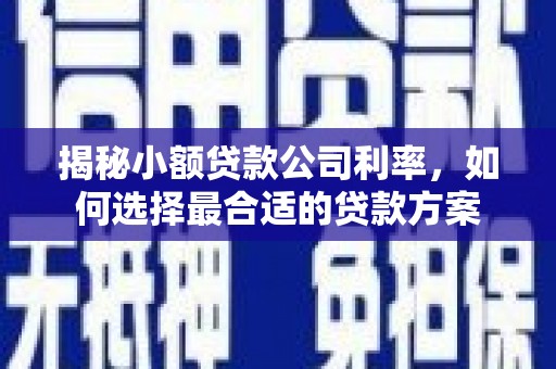 连城揭秘小额贷款公司利率，如何选择最合适的贷款方案