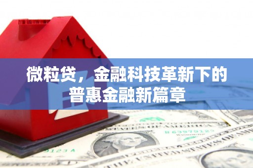 连城微粒贷，金融科技革新下的普惠金融新篇章