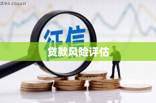 连城贷款风险评估