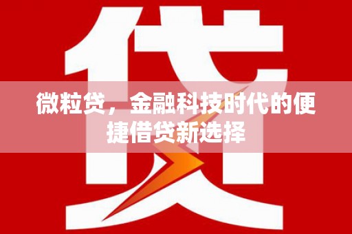连城微粒贷，金融科技时代的便捷借贷新选择