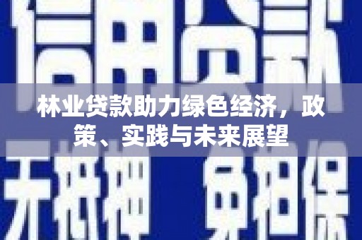 连城林业贷款助力绿色经济，政策、实践与未来展望
