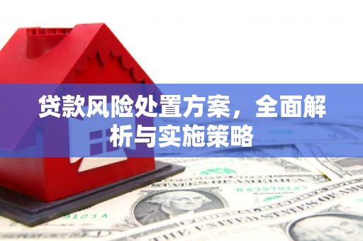 连城贷款风险处置方案，全面解析与实施策略
